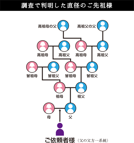 調査で判明した直径のご先祖様